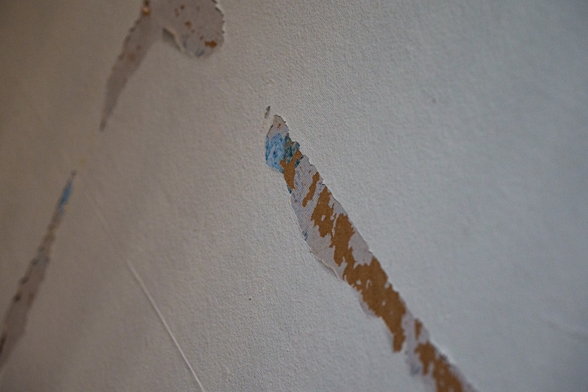 Basement Water Removal service in Rocky Mount, NC